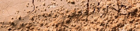 Translucent Setting Powder - Butternut - Deep almond beige with warm undertone