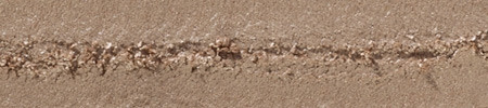 COLOR BOSS EYESHADOW - SORRY NOT SORRY (METALLIC FINISH)|GOLD-#a08770:HIGHLIGHT-#d5c7aa